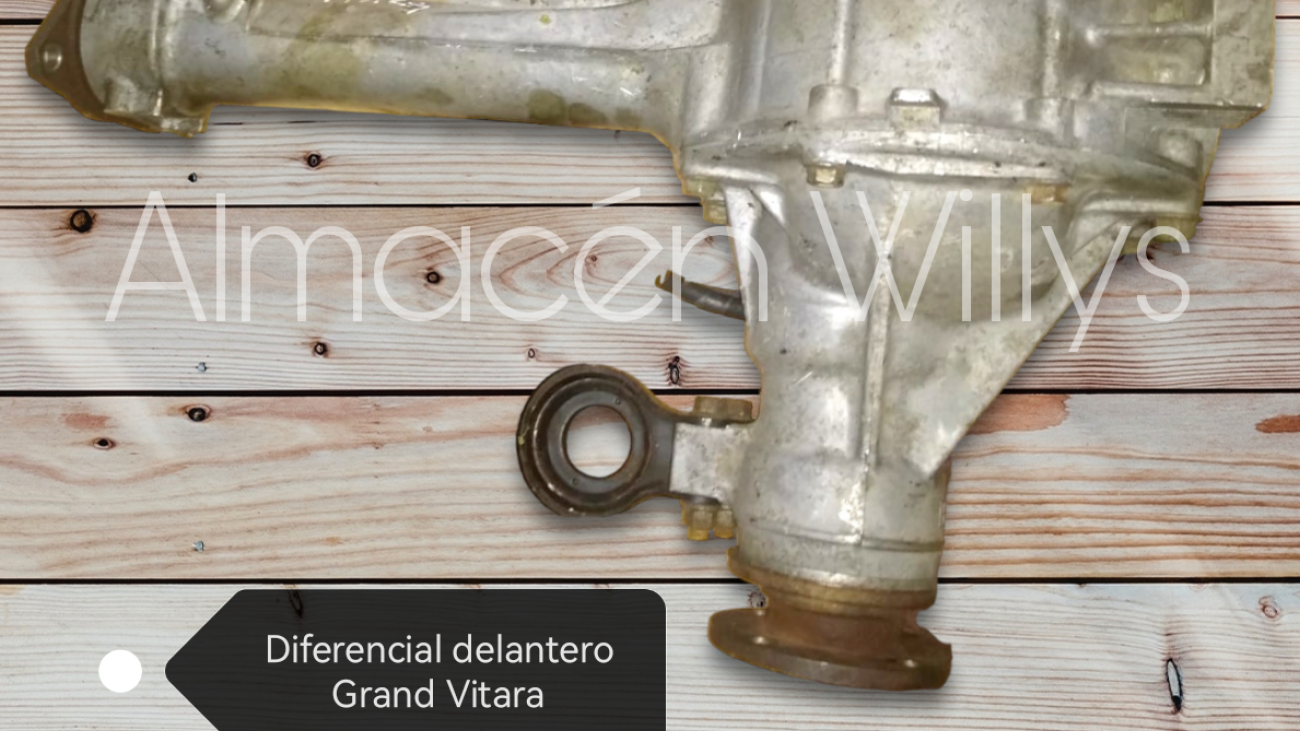 Diferencial delantero Grand Vitara