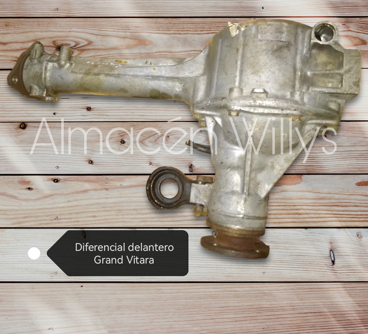 Diferencial delantero Grand Vitara