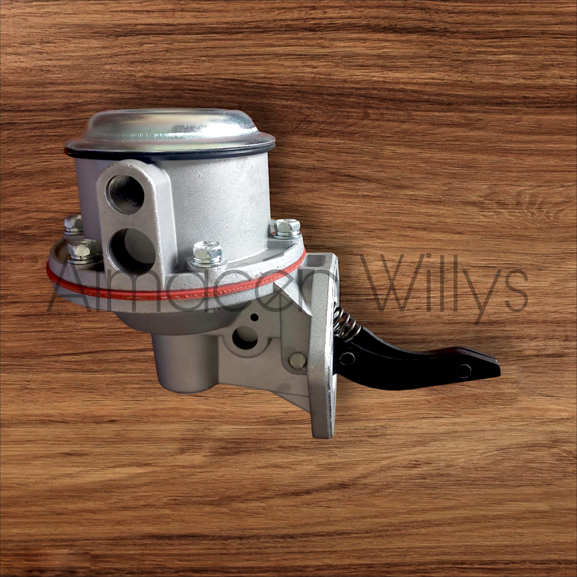 WhatsApp Image 2024-09-26 at 08.43.56 (3)